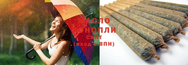 хмурый Аркадак