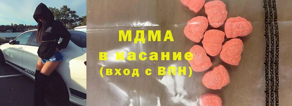 хмурый Аркадак