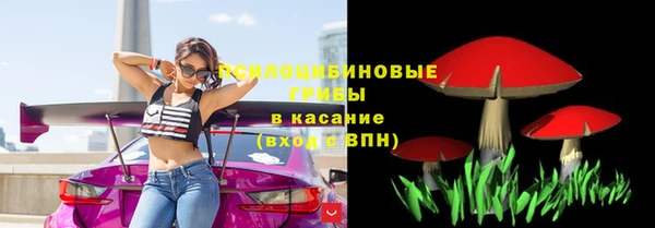 соль ск Навашино
