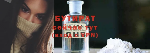хмурый Аркадак