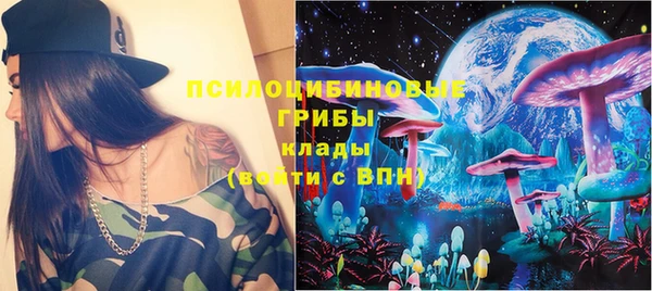 хмурый Аркадак