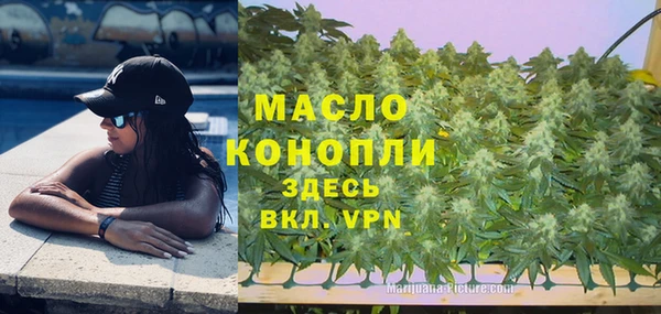 мяу мяу мука Арсеньев