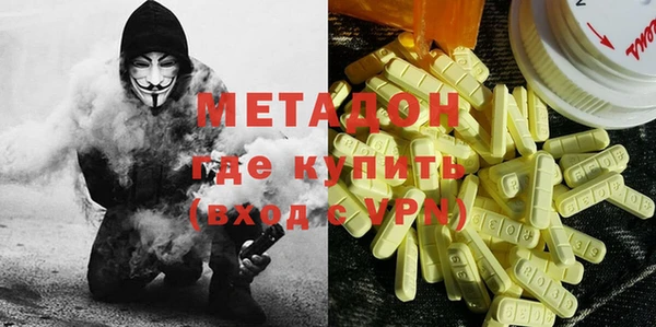 хмурый Аркадак