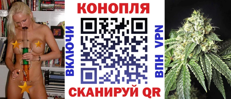darknet наркотические препараты  Новоаннинский  Конопля гибрид  OMG ссылка 
